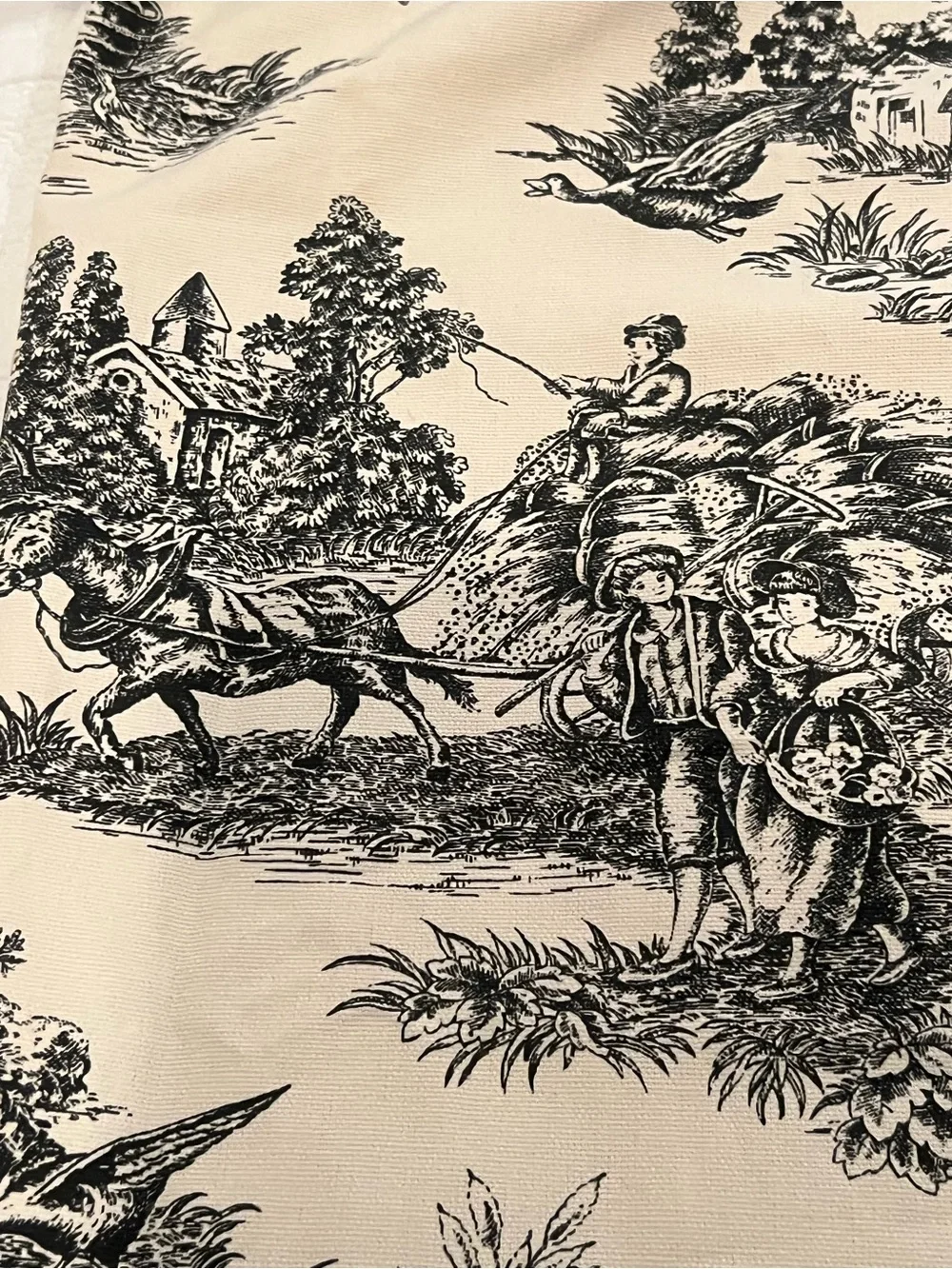 N/A elegant toile